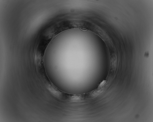 X0000102530574200808081454