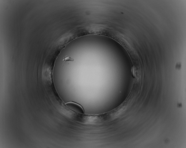 X0000102530575200808081454