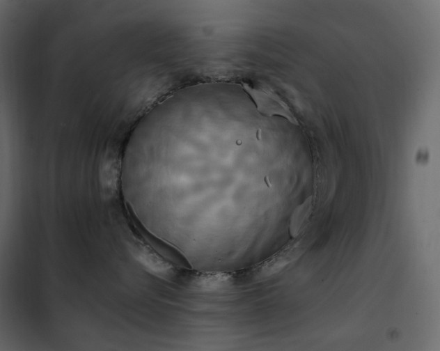 X0000102530576200808081454