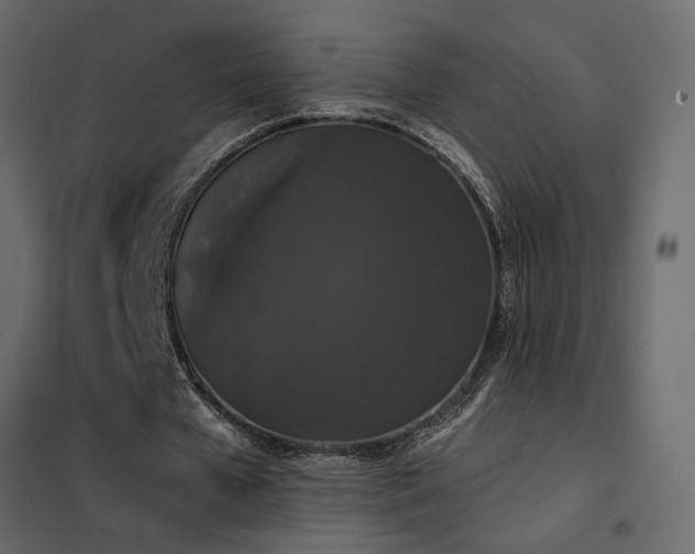 X0000102530577200808081454