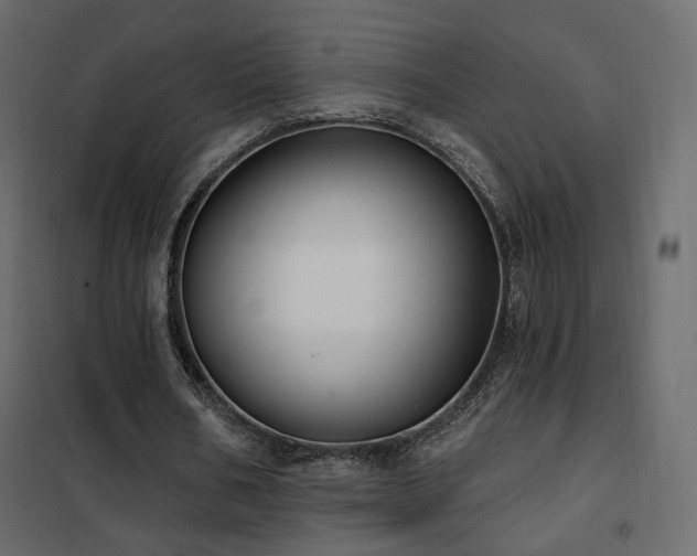 X0000102530578200808081454