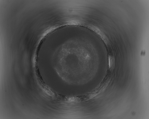 X0000102530579200808081454