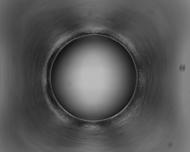 X0000102530582200808081454