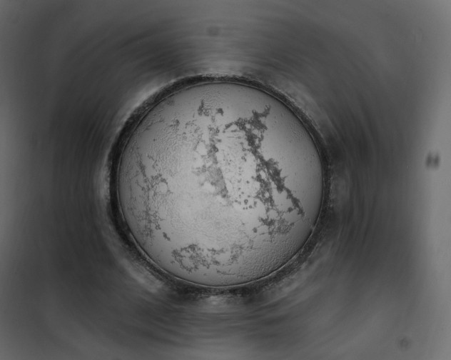 X0000102530584200808081454