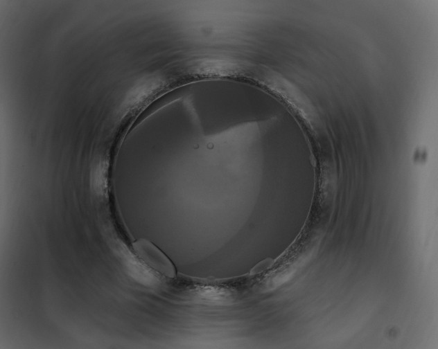 X0000102530585200808081454