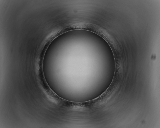 X0000102530586200808081454