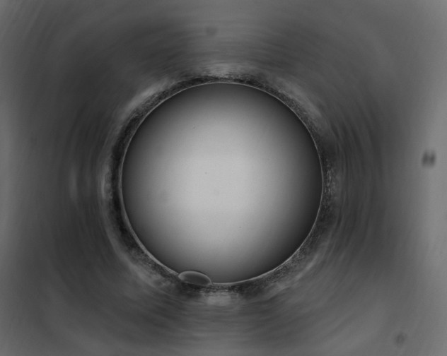 X0000102530587200808081454