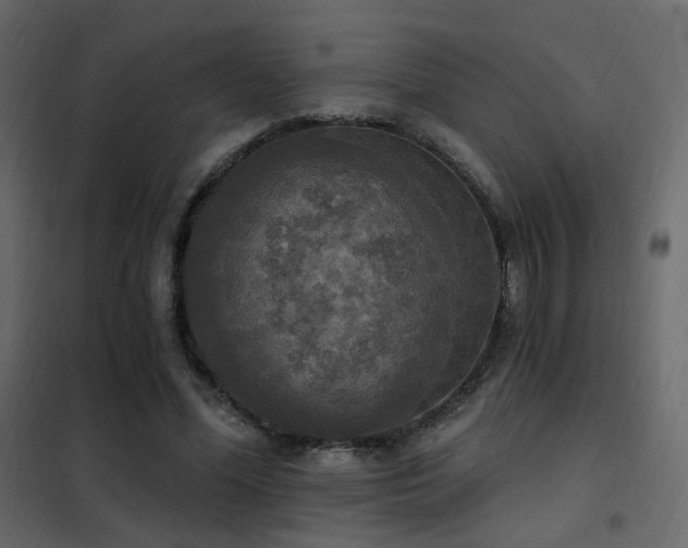 X0000102530588200808081454