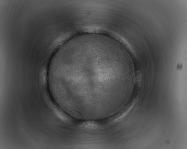 X0000102530589200808081454