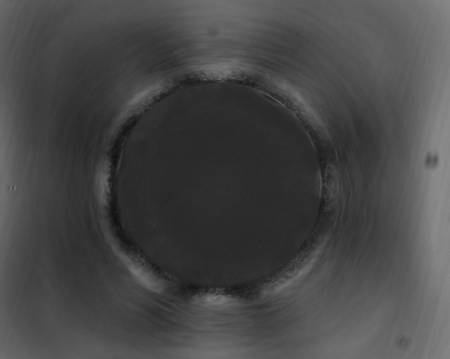 X0000102530590200808081454