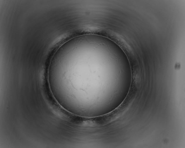 X0000102530591200808081454