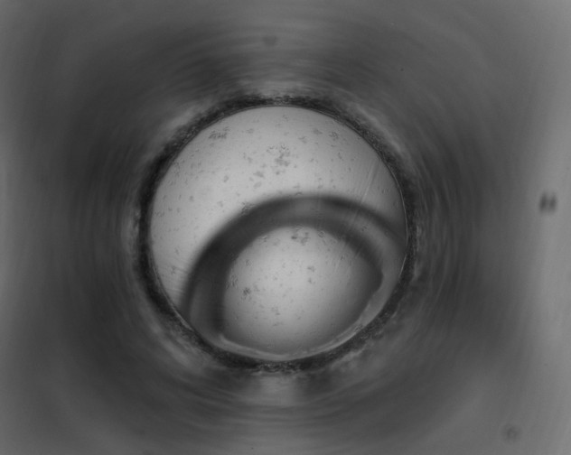 X0000102530592200808081454