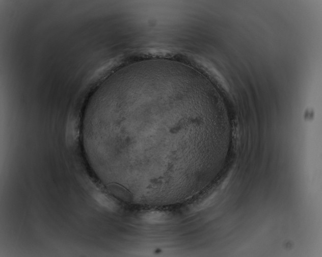 X0000102530593200808081453