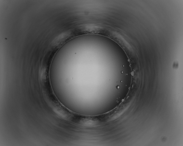 X0000102530597200808081453