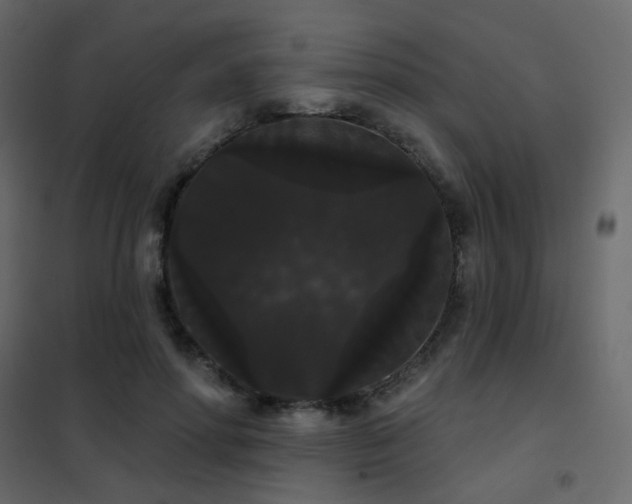X0000102530598200808081453