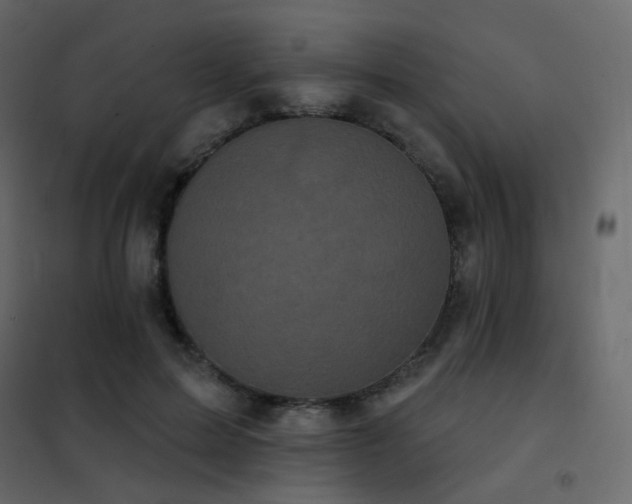 X0000102530599200808081453