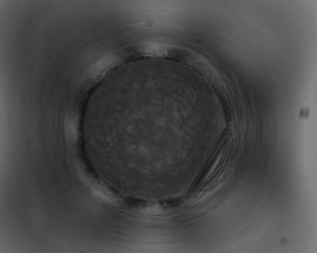 X0000102530600200808081453