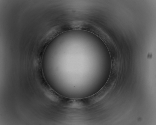 X0000102530601200808081453