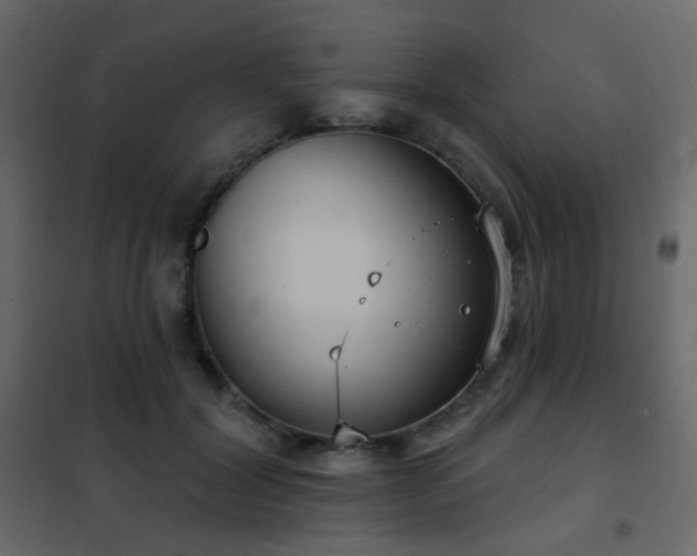 X0000102530604200808081453