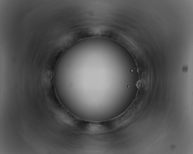 X0000102530605200808081453