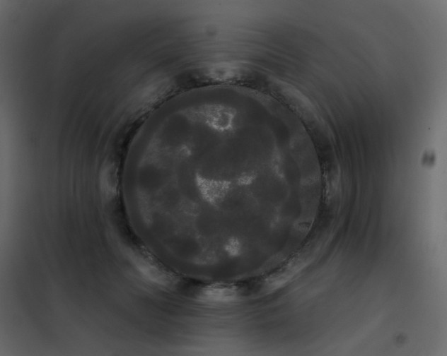 X0000102530606200808081453