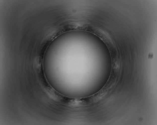 X0000102530607200808081453