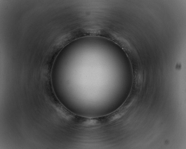 X0000102530609200808081453