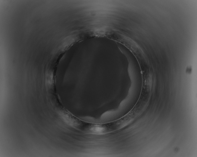 X0000102530610200808081453