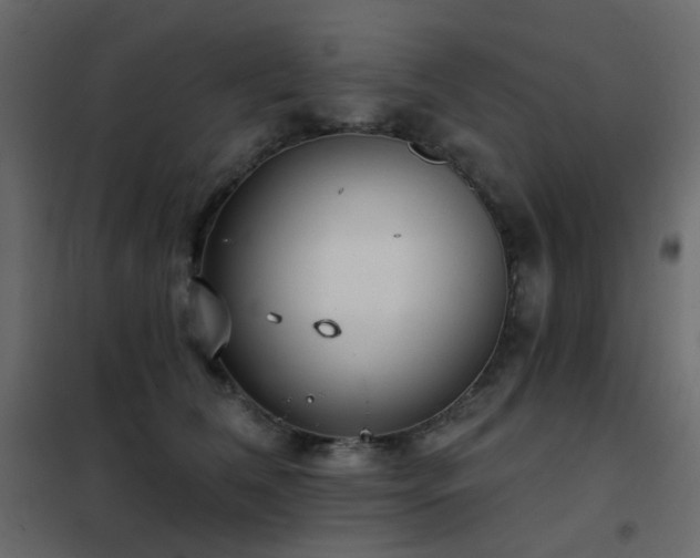 X0000102530612200808081453