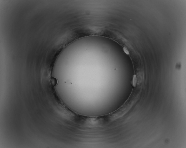 X0000102530613200808081453