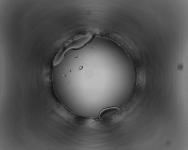 X0000102530616200808081453