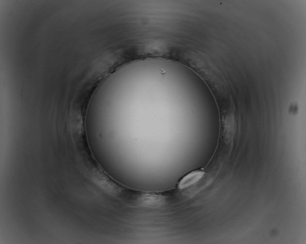 X0000102530617200808081453