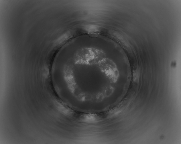 X0000102530618200808081453
