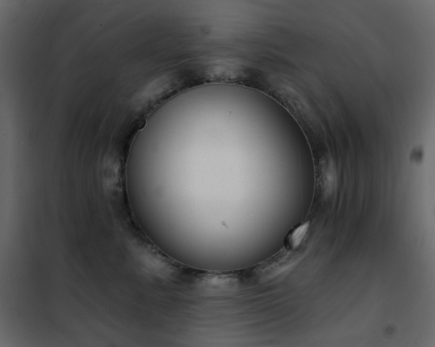 X0000102530619200808081453