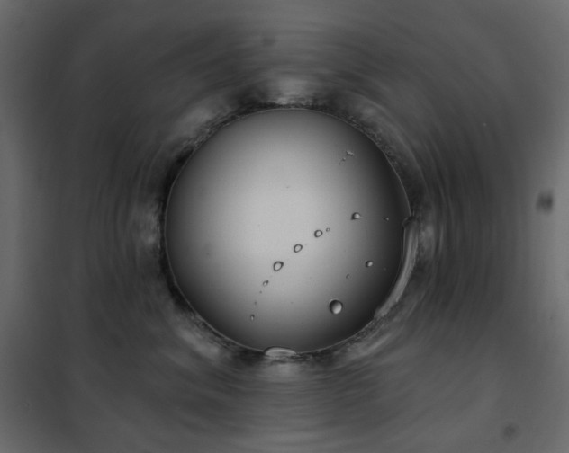 X0000102530620200808081453