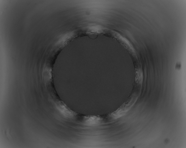 X0000102530621200808081453