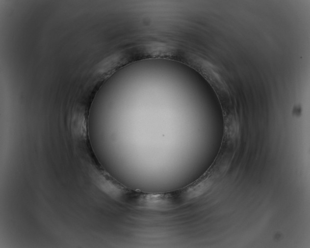 X0000102530622200808081453