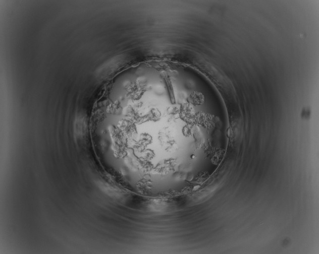 X0000102530623200808081453