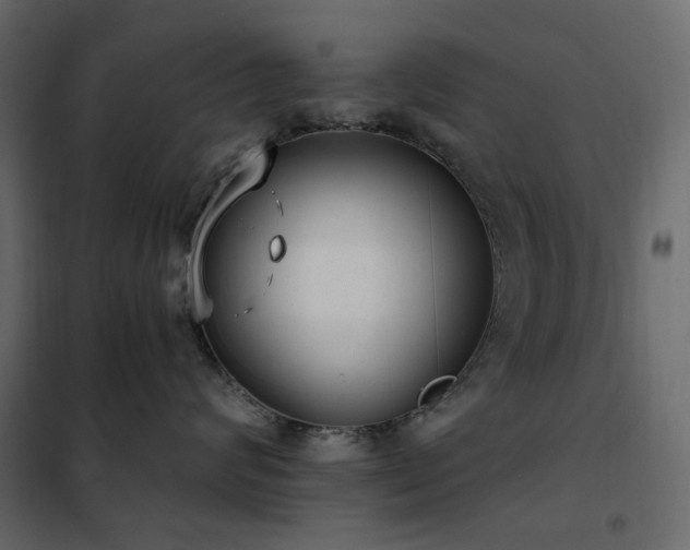 X0000102530624200808081453