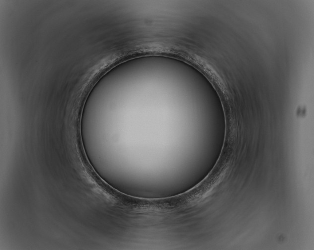 X0000102530625200808081452