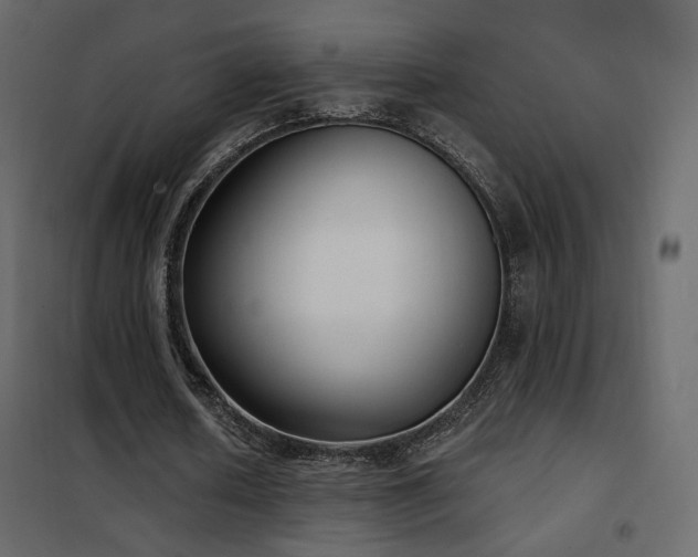 X0000102530626200808081452