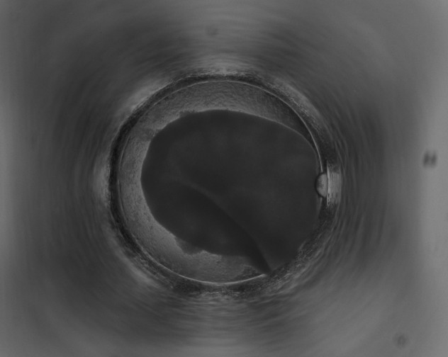 X0000102530627200808081452