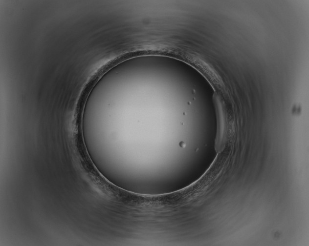 X0000102530628200808081452
