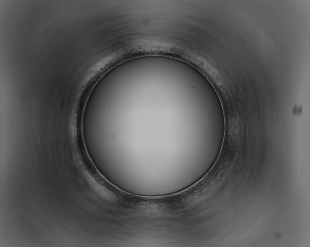 X0000102530629200808081452
