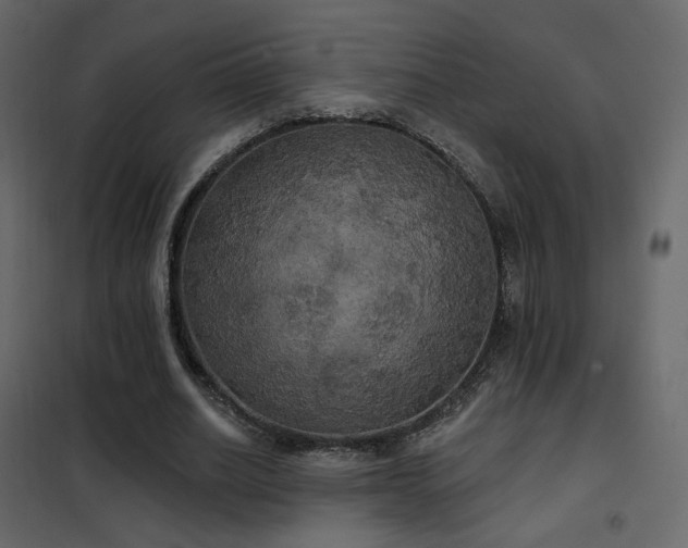 X0000102530630200808081452