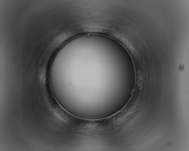 X0000102530631200808081452