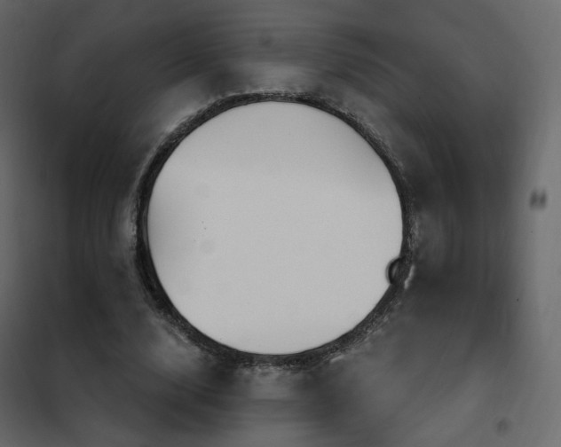 X0000102530632200808081452