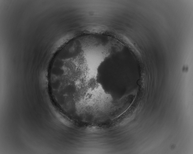 X0000102530634200808081452