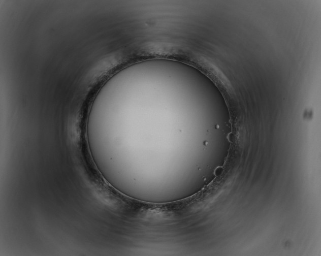 X0000102530635200808081452