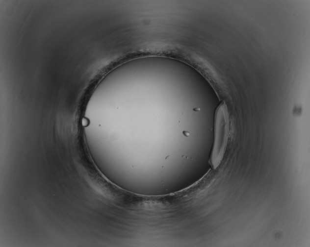 X0000102530636200808081452